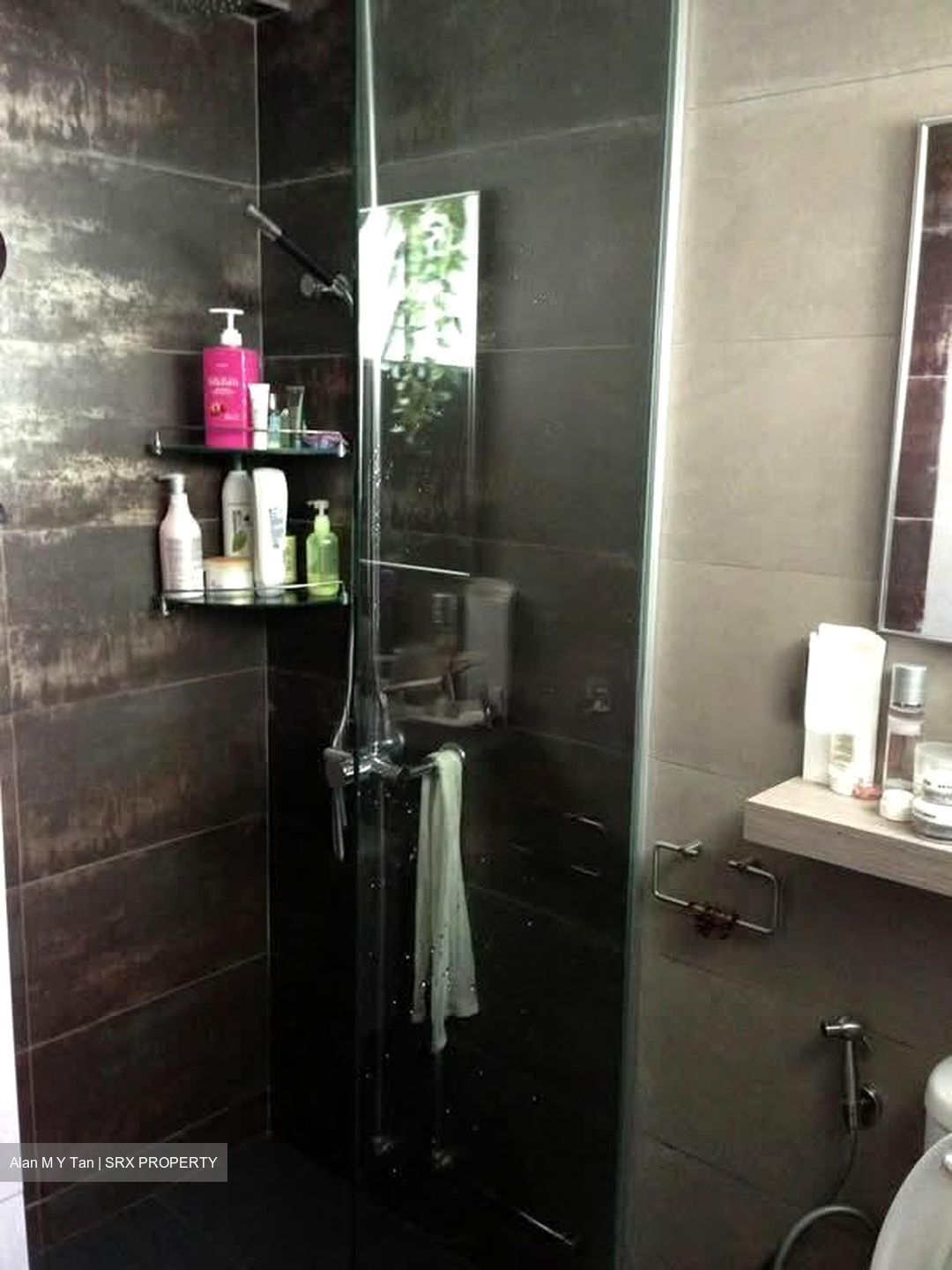 Blk 176 Bishan Street 13 (Bishan), HDB 3 Rooms #583413231